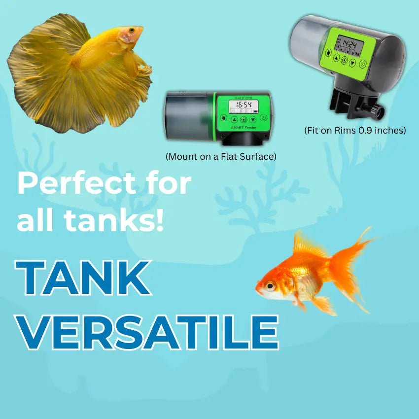 AquaFeedHub Auto Fish Feeder - Smart Timer Solution